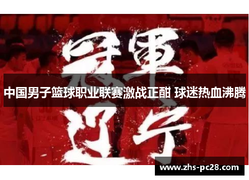 中国男子篮球职业联赛激战正酣 球迷热血沸腾