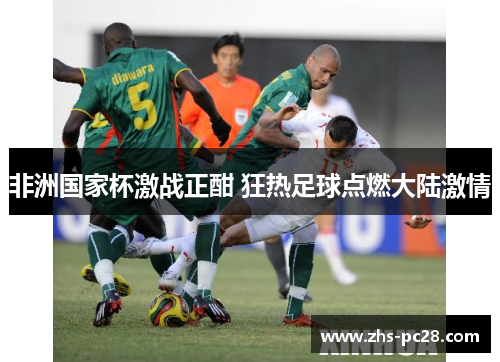 非洲国家杯激战正酣 狂热足球点燃大陆激情